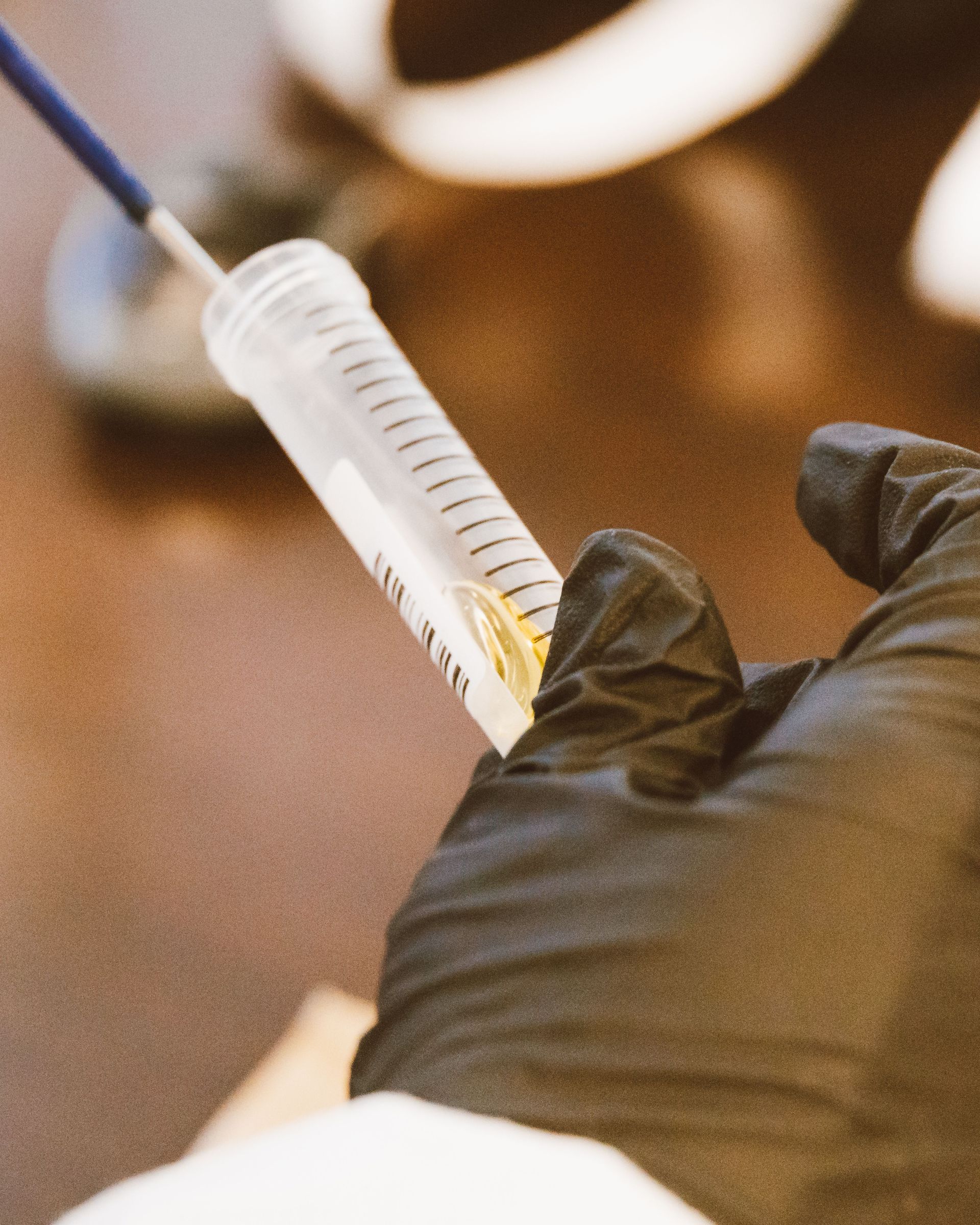 Close-up of a gloved hand holding a vial for laboratory research.
