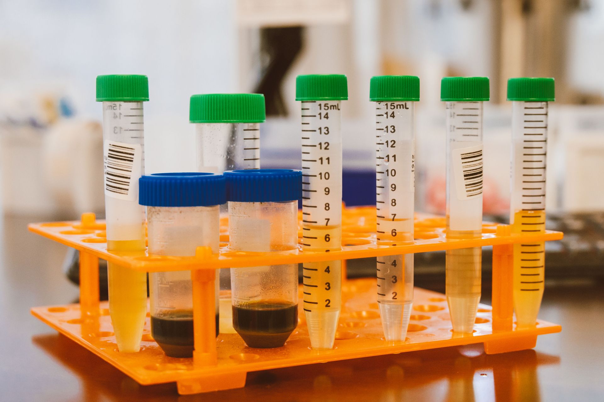 Close-up of colorful test tubes in a laboratory setting, representing scientific experimentation.